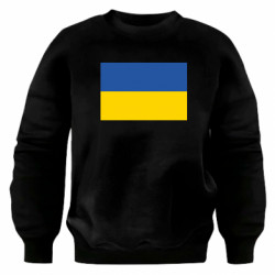 Світшоти оверсайз