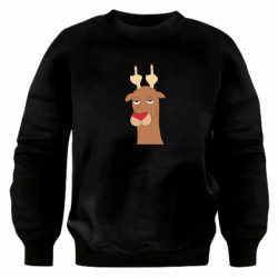 Світшоти оверсайз