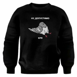 Світшоти оверсайз