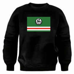 Світшоти оверсайз