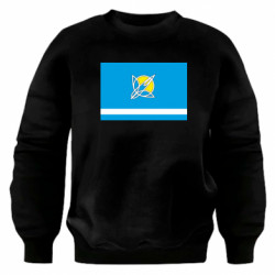 Світшоти оверсайз