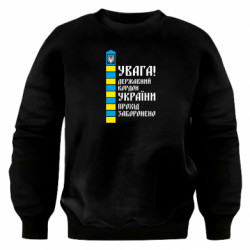 Світшоти оверсайз