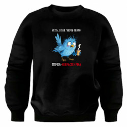 Світшоти оверсайз