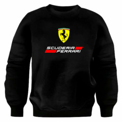 Світшоти оверсайз