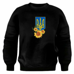 Світшоти оверсайз