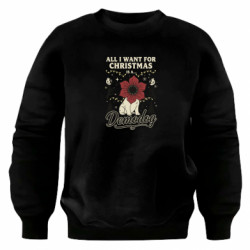 Світшоти оверсайз