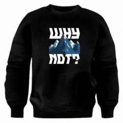 Світшоти оверсайз