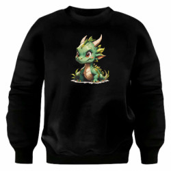 Світшоти оверсайз