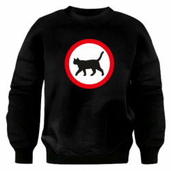 Світшоти оверсайз