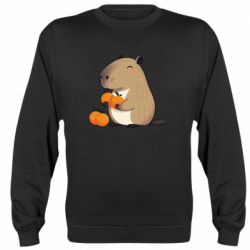 Свитшоты унисекс