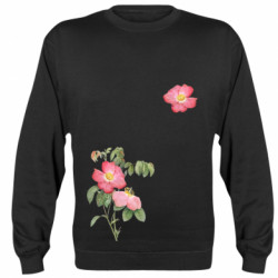 Світшоти унісекс