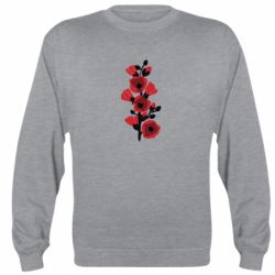 Свитшоты унисекс