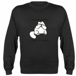 Свитшоты унисекс