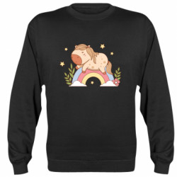 Свитшоты унисекс