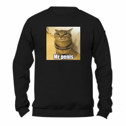 Свитшоты