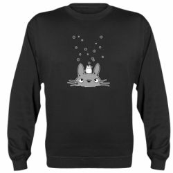 Світшоти унісекс