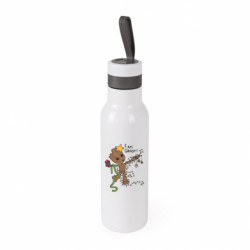 Термобутылки Bloom2