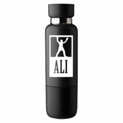 Термобутылки Viano