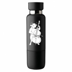 Термобутылки Viano