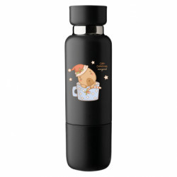 Термобутылки Viano