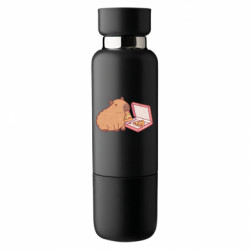 Термобутылки Viano