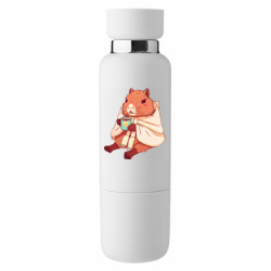 Термобутылки Viano