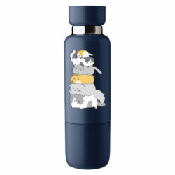 Термопляшки Viano