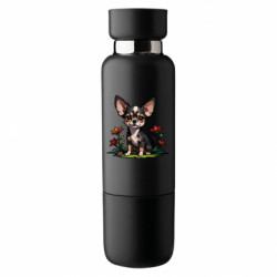 Термобутылки Viano