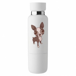 Термобутылки Viano