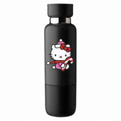 Термобутылки Viano