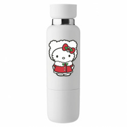 Термобутылки Viano