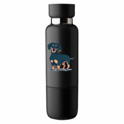 Термопляшки Viano