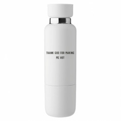 Термобутылки Viano