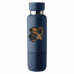 Термобутылки Viano