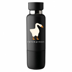 Термобутылки Viano