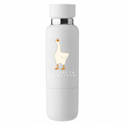 Термобутылки Viano