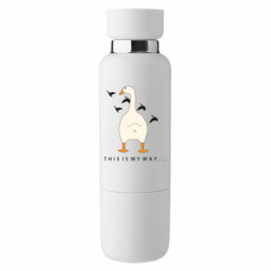 Термобутылки Viano