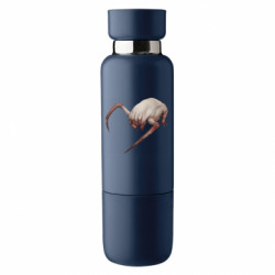 Термобутылки Viano