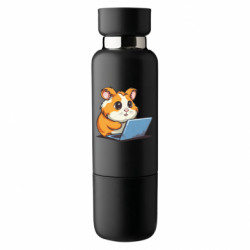 Термобутылки Viano