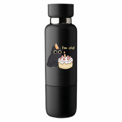 Термобутылки Viano