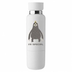 Термобутылки Viano