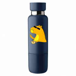 Термобутылки Viano