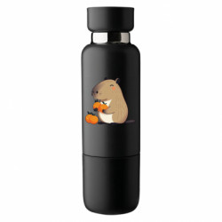 Термобутылки Viano