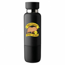 Термобутылки Viano