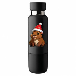 Термобутылки Viano