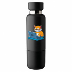 Термобутылки Viano