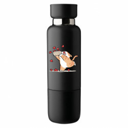 Термобутылки Viano