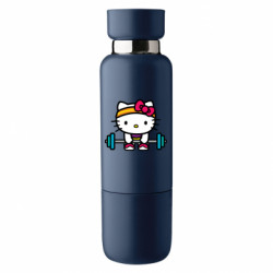 Термобутылки Viano