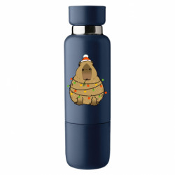 Термобутылки Viano