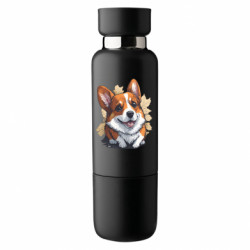 Термобутылки Viano